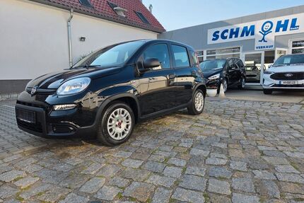 Fiat Panda Gebrauchtwagen