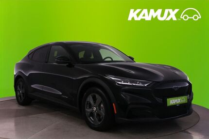 Ford Mustang Mach-E Gebrauchtwagen