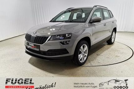 Skoda Karoq Gebrauchtwagen