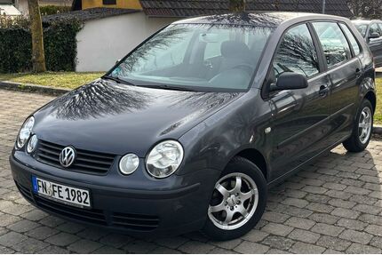 VW Polo Gebrauchtwagen