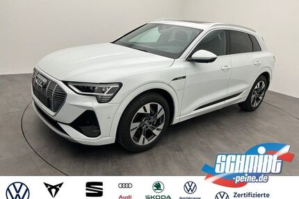 Audi e-tron Gebrauchtwagen