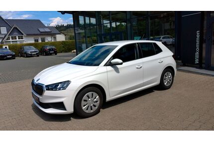 Skoda Fabia Gebrauchtwagen