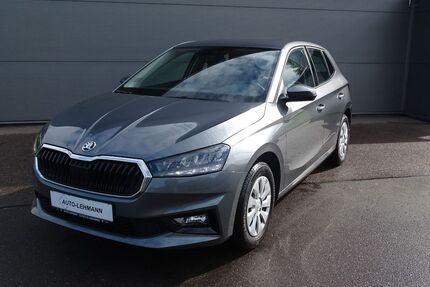 Skoda Fabia Gebrauchtwagen