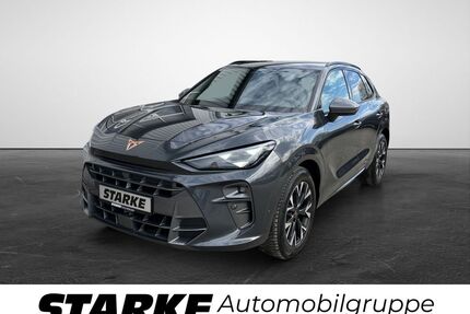 Cupra Terramar Gebrauchtwagen