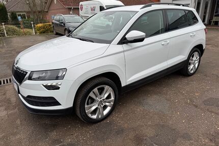 Skoda Karoq Gebrauchtwagen