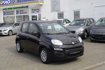 Fiat Panda Gebrauchtwagen