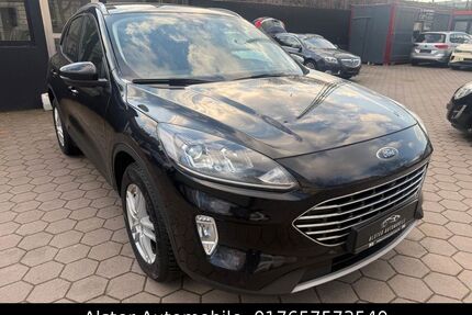 Ford Kuga Gebrauchtwagen