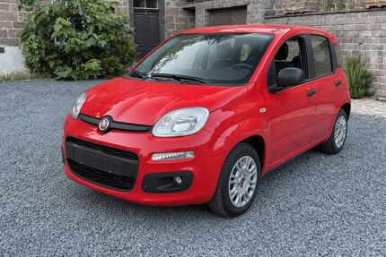 Fiat Panda Gebrauchtwagen