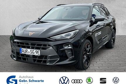 Cupra Terramar Gebrauchtwagen