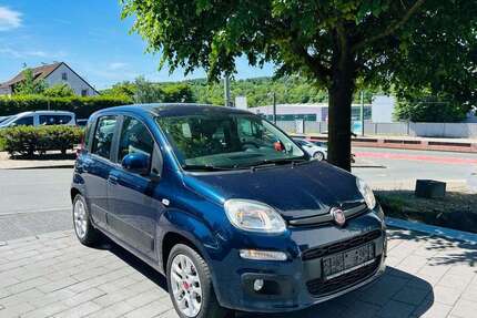 Fiat Panda Gebrauchtwagen