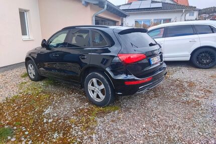 Audi Q5 Gebrauchtwagen