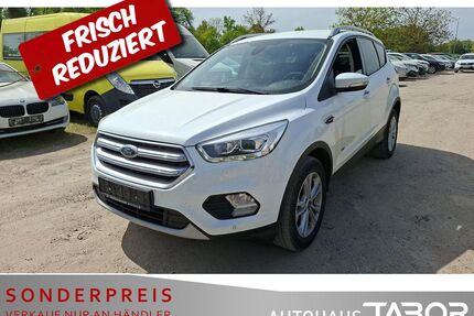 Ford Kuga Gebrauchtwagen