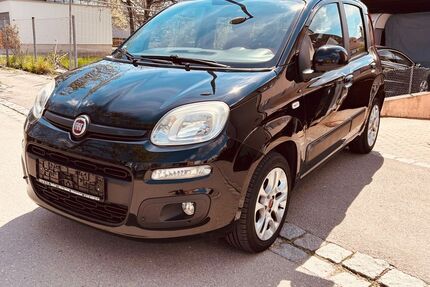 Fiat Panda Gebrauchtwagen