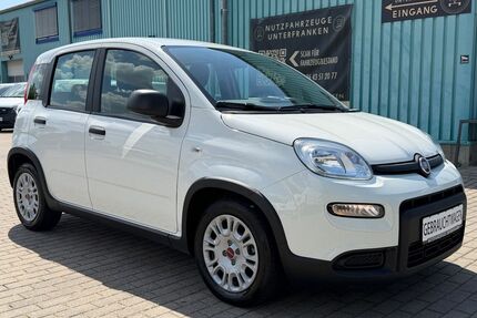 Fiat Panda Gebrauchtwagen