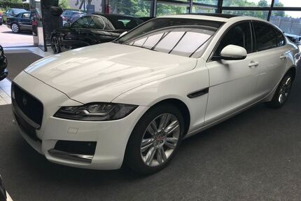 Jaguar XF Gebrauchtwagen
