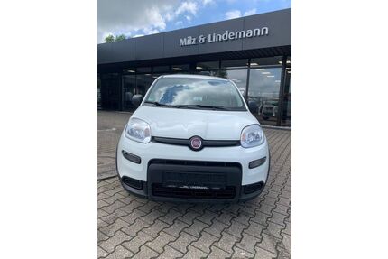 Fiat Panda Gebrauchtwagen