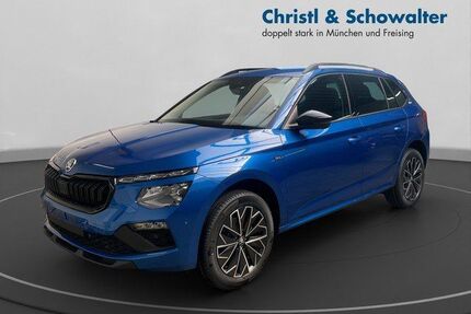 Skoda Kamiq Gebrauchtwagen