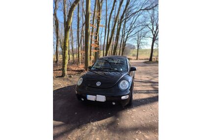 VW New Beetle Gebrauchtwagen