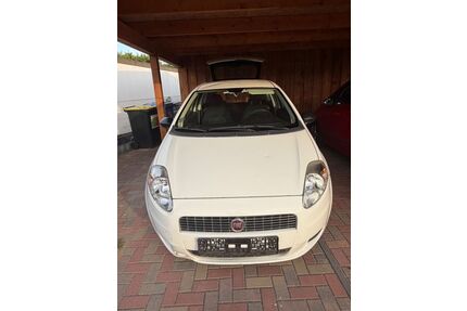 Fiat Punto Gebrauchtwagen