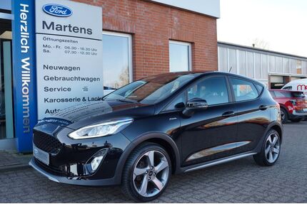 Ford Fiesta Gebrauchtwagen