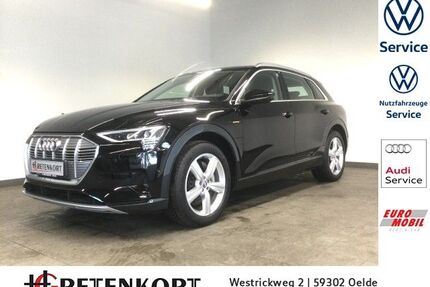 Audi e-tron Gebrauchtwagen