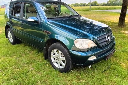 Mercedes-Benz ML 270 Gebrauchtwagen