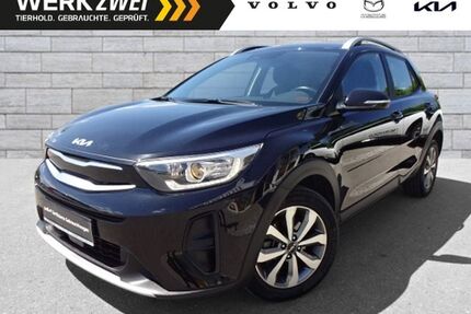 Kia Stonic Gebrauchtwagen