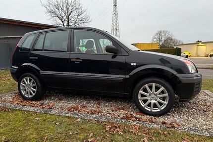 Ford Fusion Gebrauchtwagen