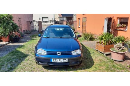 VW Golf Gebrauchtwagen