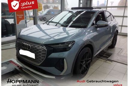 Audi Q4 e-tron Gebrauchtwagen