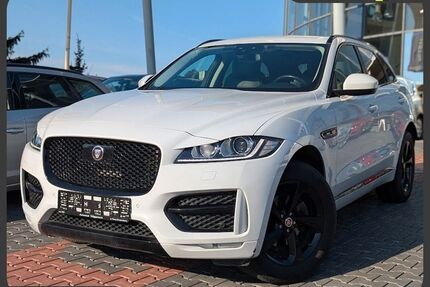 Jaguar F-Pace Gebrauchtwagen