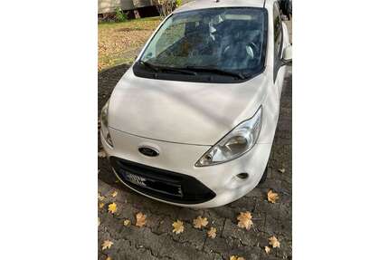 Ford Ka/Ka+ Gebrauchtwagen