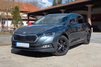 Skoda Octavia Gebrauchtwagen