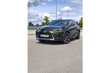 Lexus UX Gebrauchtwagen