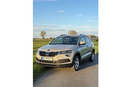 Skoda Karoq Gebrauchtwagen