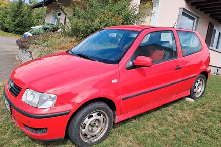 VW Polo Gebrauchtwagen