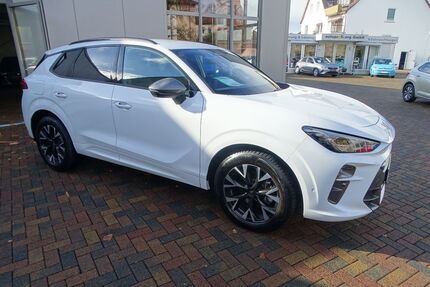 Cupra Terramar Gebrauchtwagen