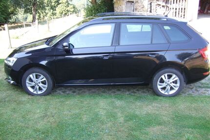 Skoda Fabia Gebrauchtwagen