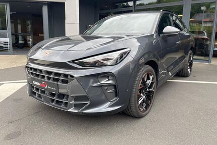 Cupra Terramar Gebrauchtwagen