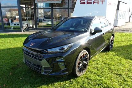 Cupra Terramar Gebrauchtwagen