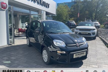 Fiat Panda Gebrauchtwagen