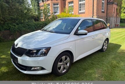 Skoda Fabia Gebrauchtwagen