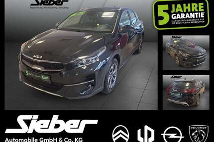 Kia XCeed Gebrauchtwagen