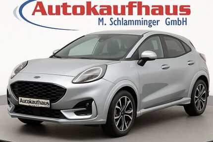 Ford Puma Gebrauchtwagen