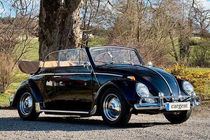 VW Käfer Gebrauchtwagen