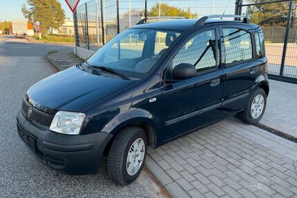 Fiat Panda Gebrauchtwagen