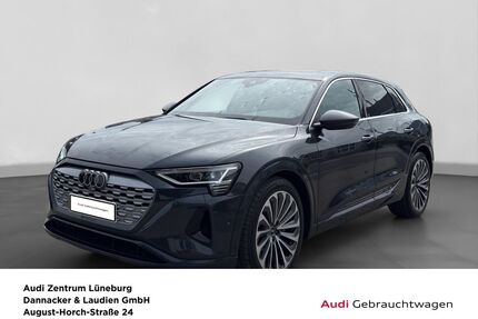 Audi Q8 e-tron Gebrauchtwagen