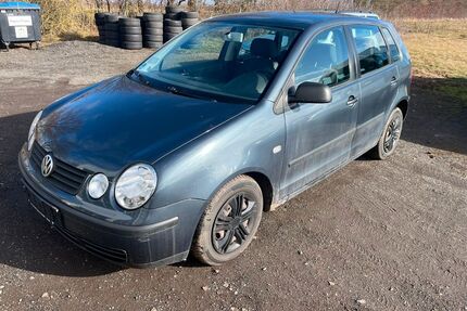 VW Polo Gebrauchtwagen