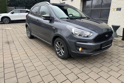 Ford Ka/Ka+ Gebrauchtwagen