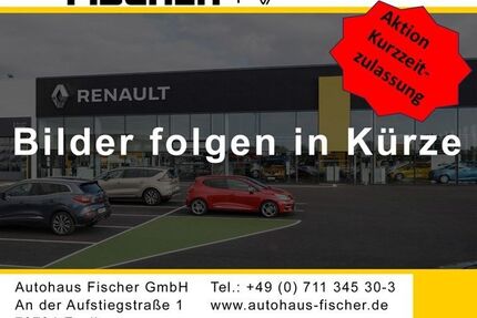 Renault Scenic Gebrauchtwagen